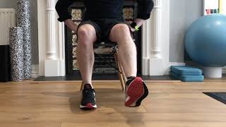 Toe lifts and heel raises (from sitting)