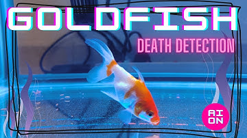 Goldfish Detection with YOLO v8: Detecting fishes when they become ill