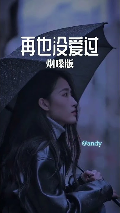 再也没爱过