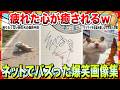 【🔥爆笑】週末は日頃の疲れを笑いで癒そうwwネットでバズりまくった爆笑画像集www【2ch】【5ch】【ゆっくり解説】【コメ付き】【面白画像】