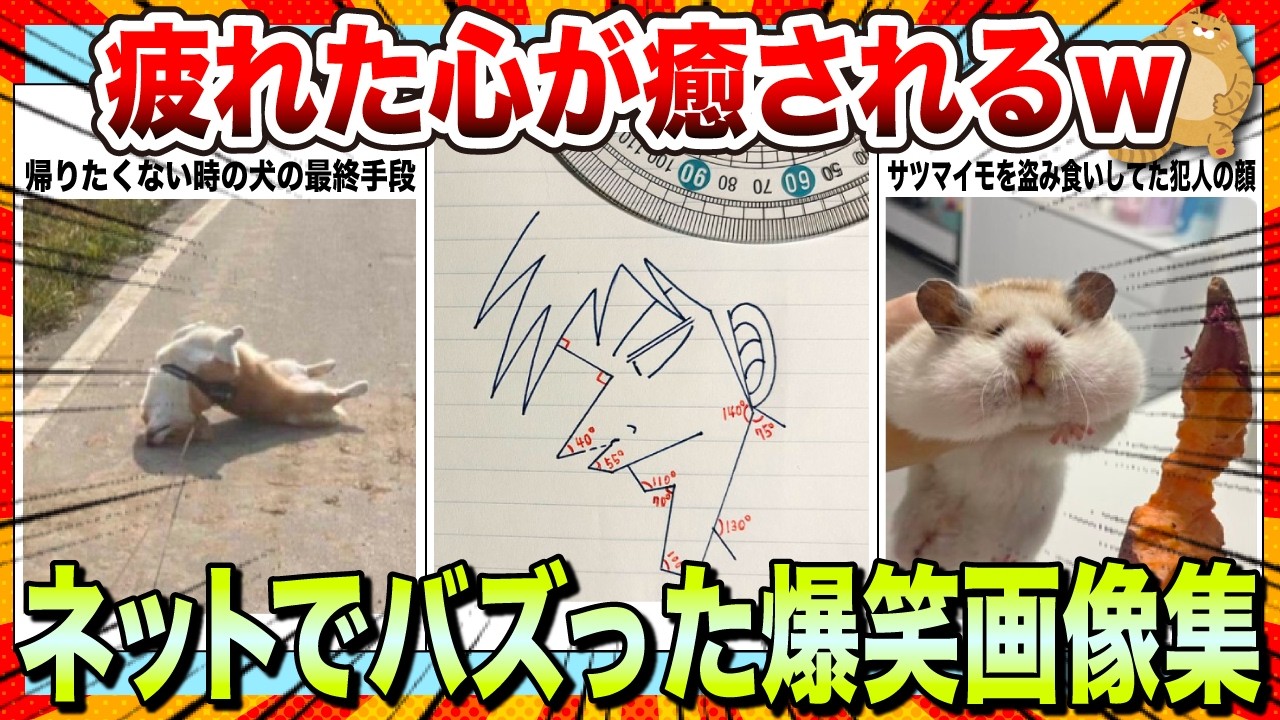 【🔥爆笑】週末は日頃の疲れを笑いで癒そうwwネットでバズりまくった爆笑画像集www【2ch】【5ch】【ゆっくり解説】【コメ付き】【面白画像】