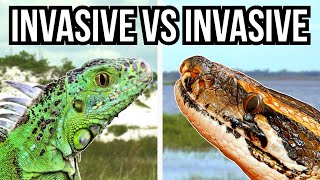 3 Invasive Species That Prey On Other Invasive Species