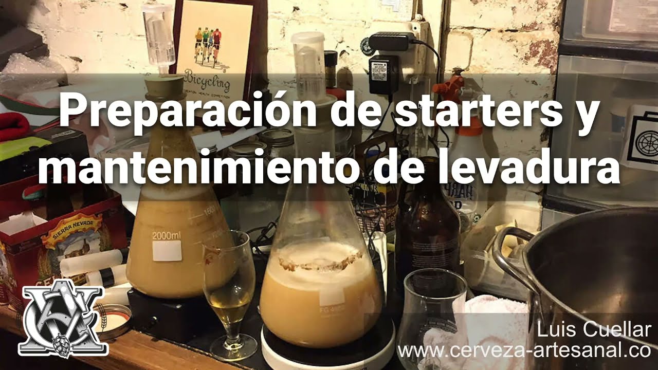 ¿Cómo hacer starters y reutilizar levadura de cerveza?