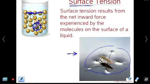 Mr Z AP Chemistry Chapter 11 lesson 2: Intermolecular Forces and Physical Properties