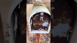 Best Wasps Nest Removal Moments#shorts #shortvideo #ranking #wasp waspnestremoval #best #funny