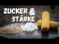 Zucker & Stärke im Pferdefutter: Schädlich oder wichtig?