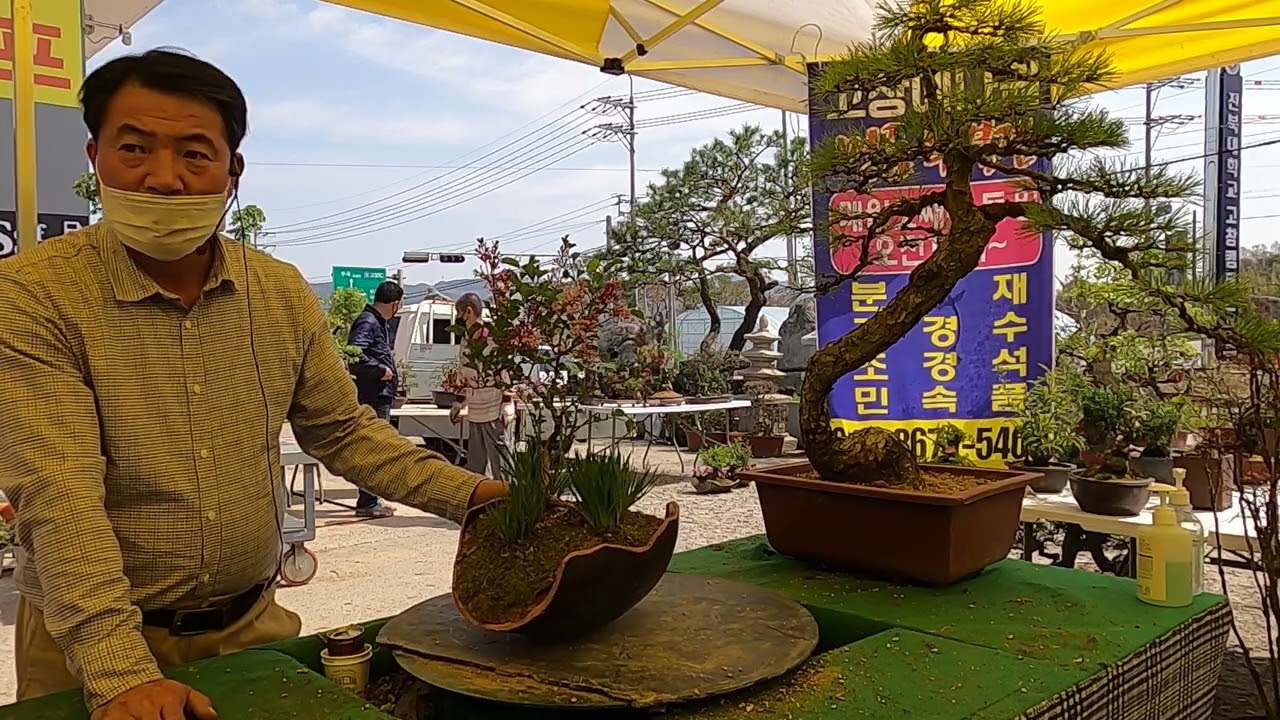 고창 예나원 경매장 21.4.11 일요경매10 #매주(토,일)오전11시경매# 010 3671 5400 고창군 고창읍 녹두로1033 HP주유소(전북대 고창캠퍼스 앞)