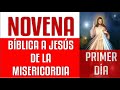 NOVENA BÍBLICA A JESÚS DE LA MISERICORDIA | DÍA PRIMERO | DÍA 1