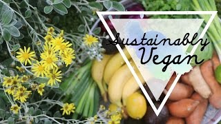 Zero Waste Beginner's Tips ♡ How to Get Started