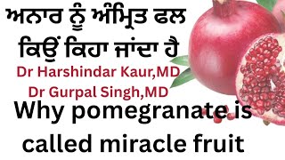 529 - Why pomegranate is called miracle fruit! ਅਨਾਰ ਨੂੰ ਅੰਮ੍ਰਿਤ ਫਲ ਕਿਉਂ ਕਿਹਾ ਜਾਂਦਾ ਹੈ !!!