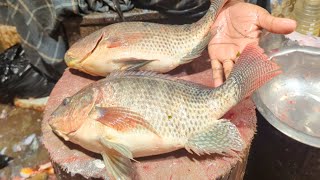 Amazing Tilapia Fish Cutting Skills In Bangladesh Fish Market Fish Cutting Skills