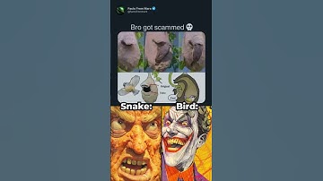 The Snake Was Surprised 🤣 #funny  #memes