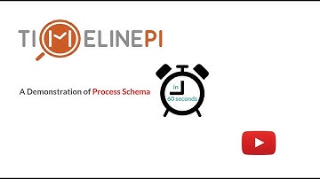TimelinePI Process Schema in 60 Seconds