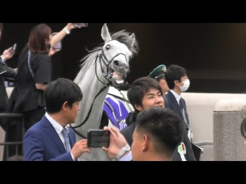 【安田記念2023】「白毛（ソダシ）じゃなくて悪かったな！😡」怒りのガイアフォース