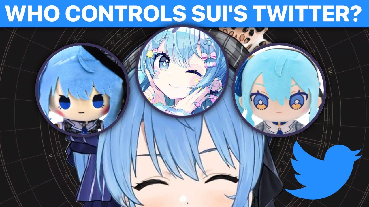 ♡TUU☆様ご確認♡ Who Controls Suisei's Twitter Sub-Account? (Hoshimachi Suisei