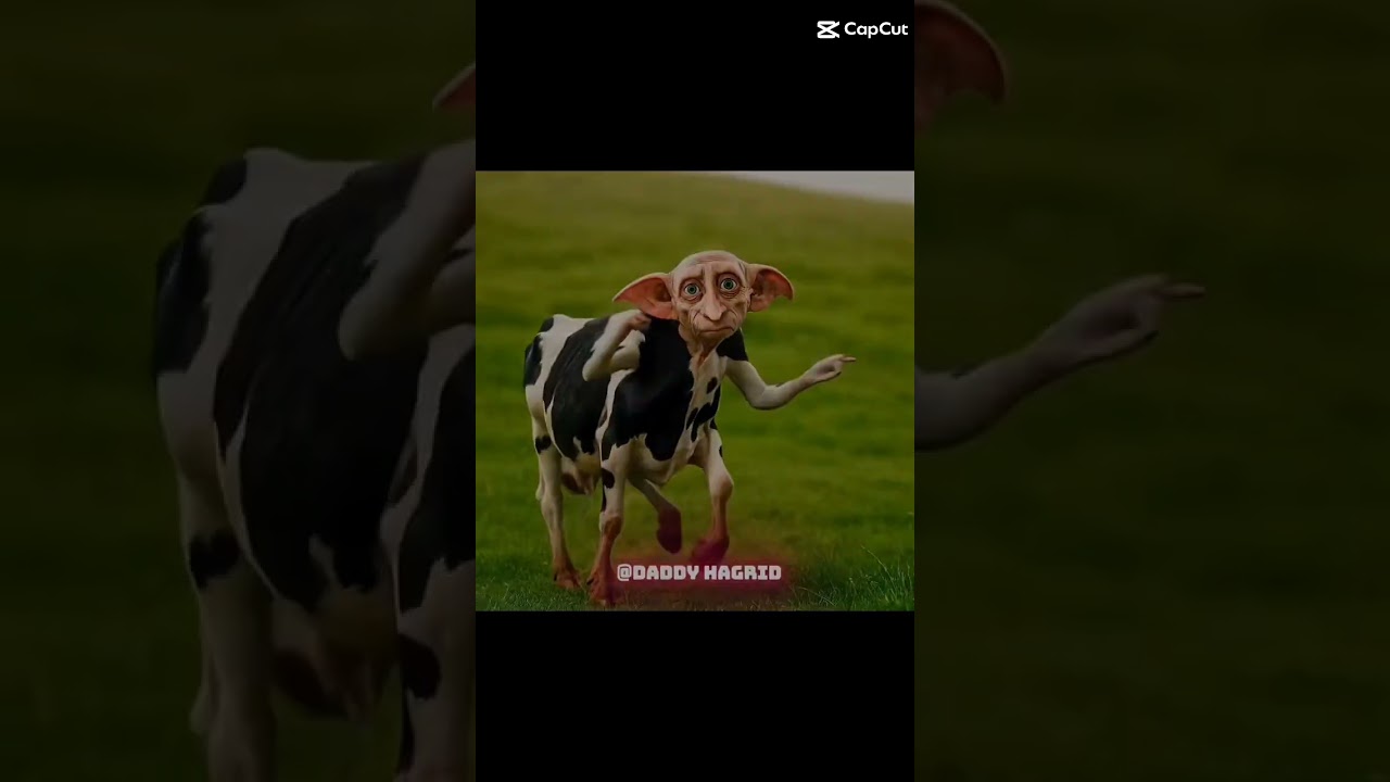 dobby - YouTube