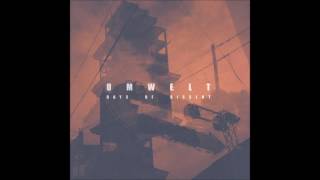 Umwelt - Days Of Dissent