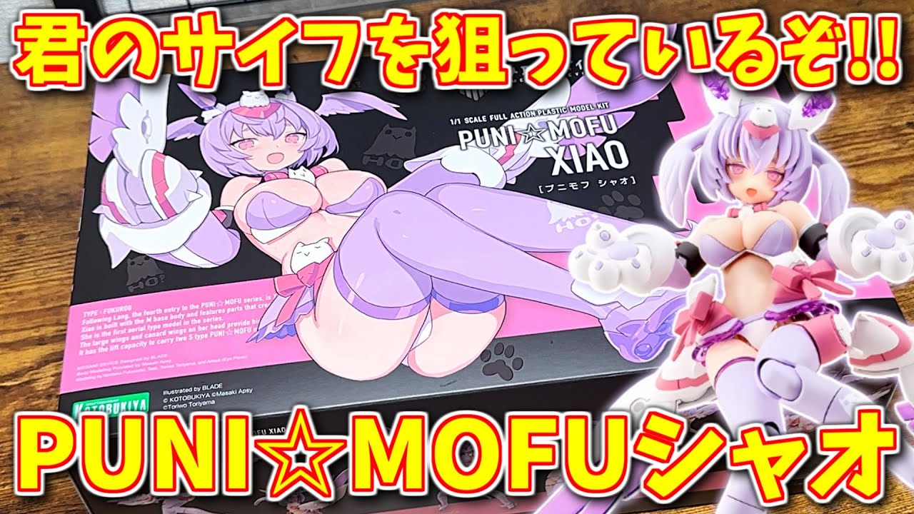 【新作レビュー】過去最胸のぷにモフが発売！！最新作『PUNI☆MOFUシャオ』君の財布も狙われているぞ！！【メガミデバイス】