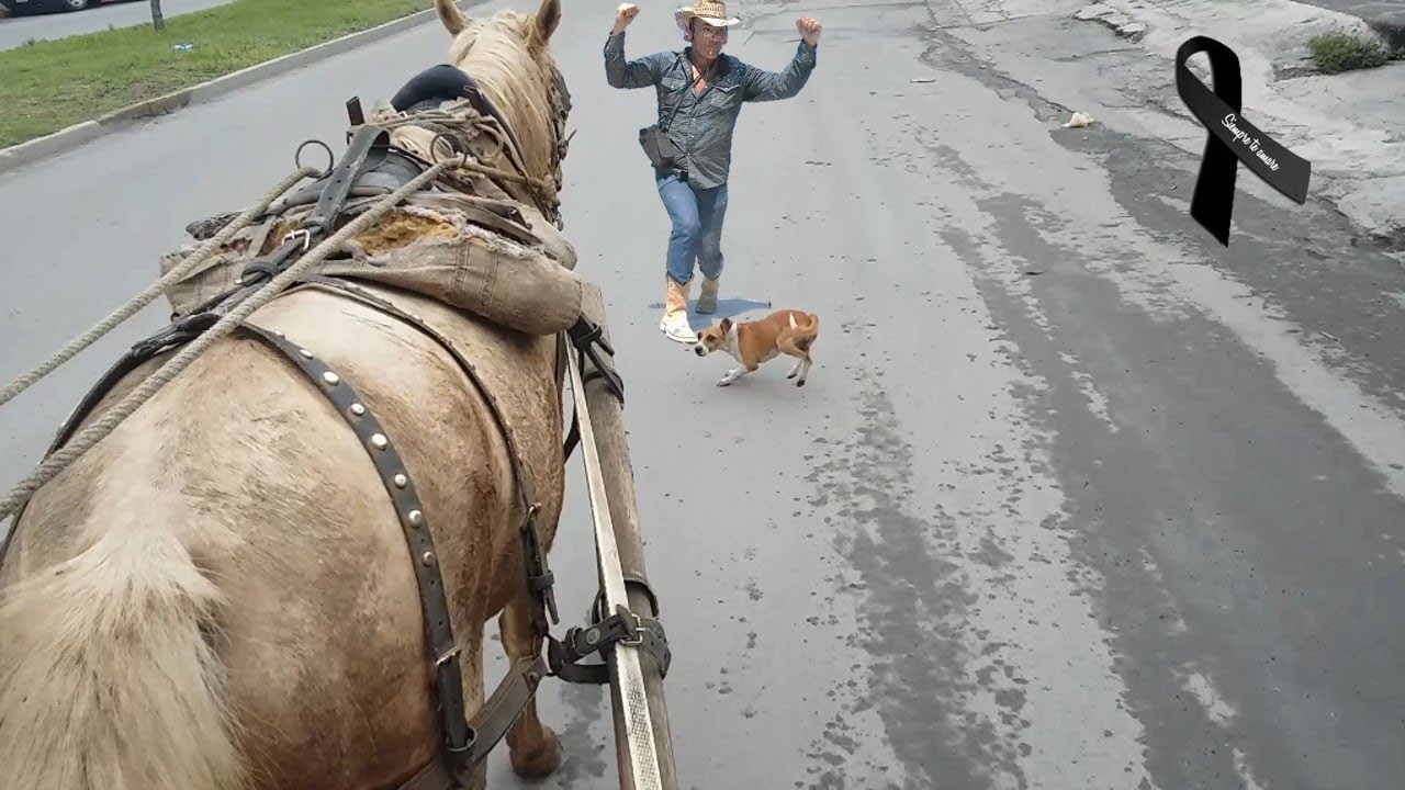 ¡CÓMO SE MANEJA VEHÍCULO DE UN CABALLO DE FUERZA!...¡MI PRUEBA DE DIABETES..! YouTube ¡CÓMO SE MANEJA VEHÍCULO DE UN CABALLO DE FUERZA!...¡MI PRUEBA DE DIABETES..! YouTube