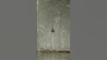 What A Weird Glitch - Sons Of The Forest