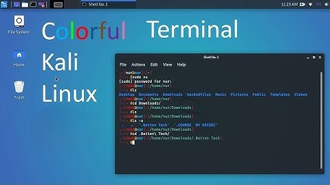 How to make terminal colorful on Kali Linux | Parrot os terminal theme | Works on any Linux✔️