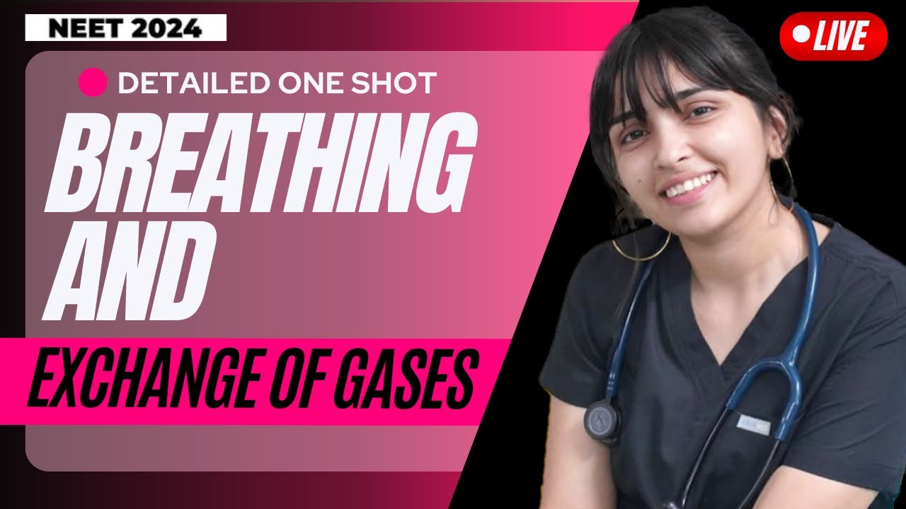 ONE SHOT- BREATHING AND EXCHANGE OF GASES [NEET 2024] Class 11 Comp NCERT