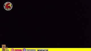 KBF9039 金椰紫光