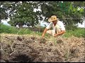 Ventajas y Beneficios de la Agroecología - TvAgro por Juan Gonzalo Angel