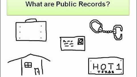 What are Public Records?