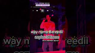 Saphe Birhanu Way Numa Bareedi New Oromo Music 2025