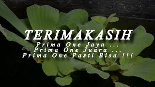 Download Lagu PTM TERBATAS SDN 1 TANJUNGMOJO KEC. KANGKUNG KAB. KENDAL MP3