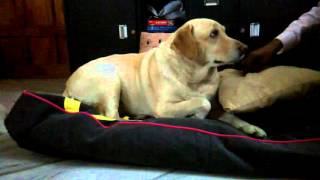 VID 20160103 213050