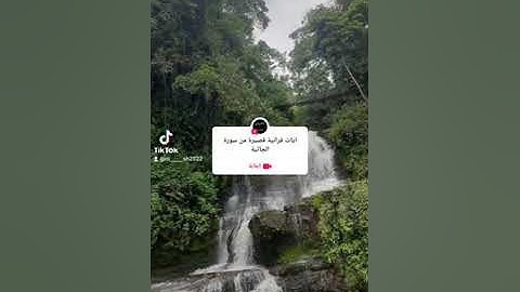 #القارئ_محمد_عبد #يارب_فوضت_امري_اليك #التوحيد_والسنة #ايات_قرانيه_قصيره #القرآن_الكريم #التوحيد