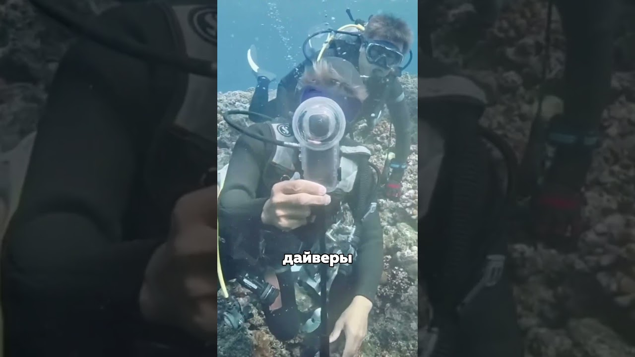 Что-то может скрываться на дне Марианской впадины?