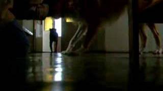 Amisia - Radosne Powitanie