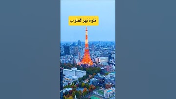 تلاوة تهز قلبك وتملؤك طمأنينة #الجزائر #اكسبلور #القزابري #دويتو #duet #تيك_توك #السعودية #لايك #ترن