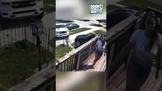 Who Let The Dogs Out?