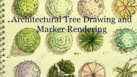 Architectural tree rendering | tips(2022).       #howtodrawtree #architecture