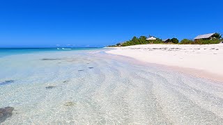 The Peaceful Shoreline of Barbuda Belle