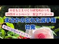 まさかの忘れた選手権勃発 やまもと土づくり研究所のつち緊急アンコールキャンペーン 本当に最後のチャンス!