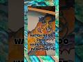 Watch me do Watercolor Painting! #watercolor #painting #mermaid #goddess #abalone