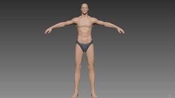 Realistic Male Basemesh