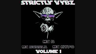 Strictly Vybz Volume 1 Track 11 Insane (Binary Finary Remix)