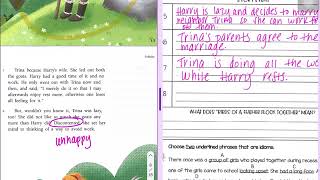 Benchmark - unit 9 week 2 - lesson 11- non literal language