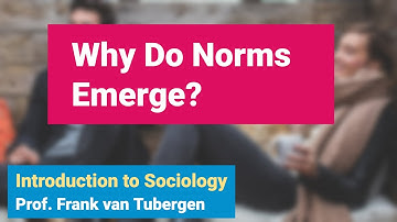 6.6 Why Do Norms Emerge? | Introduction to Sociology course - SOC 101