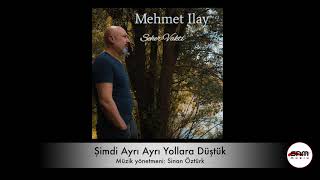 Mehmet Ilay - Şimdi Ayrı Ayrı Yollara Düştük Resimi