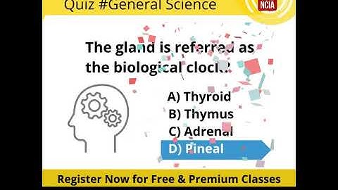 SET General Paper - General Science Quiz #2