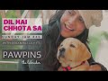 Dil hai chhota sa  cover  debanjali lily  featuring pawpins the labrador  abhirup b  arr  roja