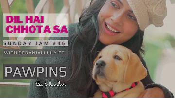 Dil Hai Chhota Sa - Cover | Debanjali Lily | Featuring Pawpins the Labrador | Abhirup B | ARR | Roja