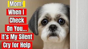 If Your Dog Keeps Checking On You, This Is The Secret Reason Why